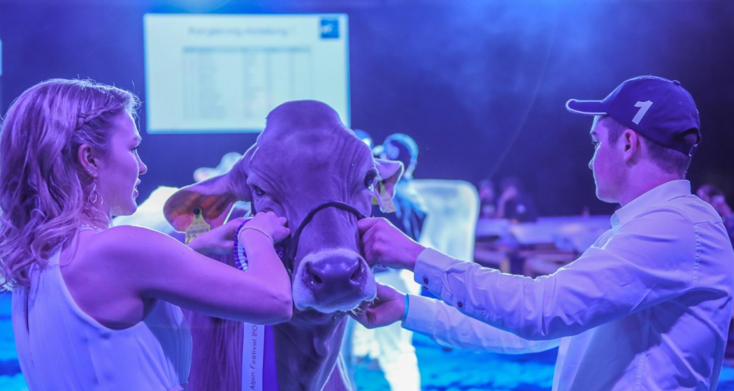 Alpin Festival (gdl_899953794_image)