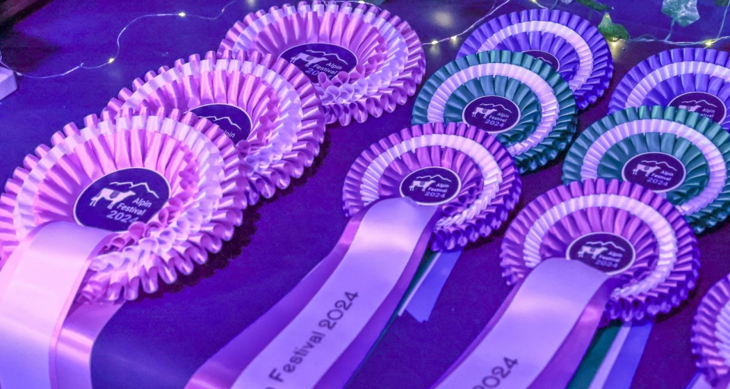 Alpin Festival (gdl_899953795_image)