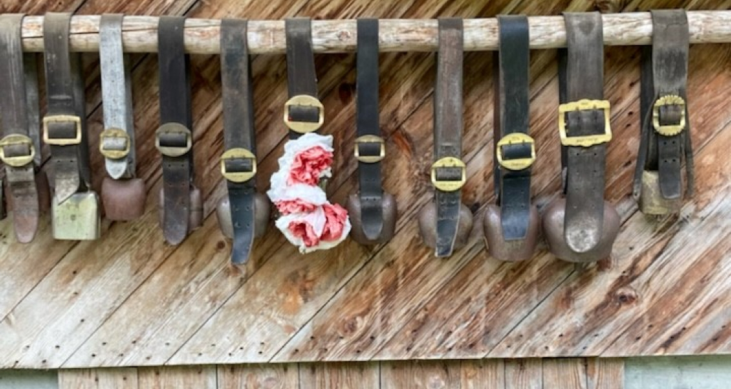 Schellen_Hof_Lajet Schellen_Hof_Lajet