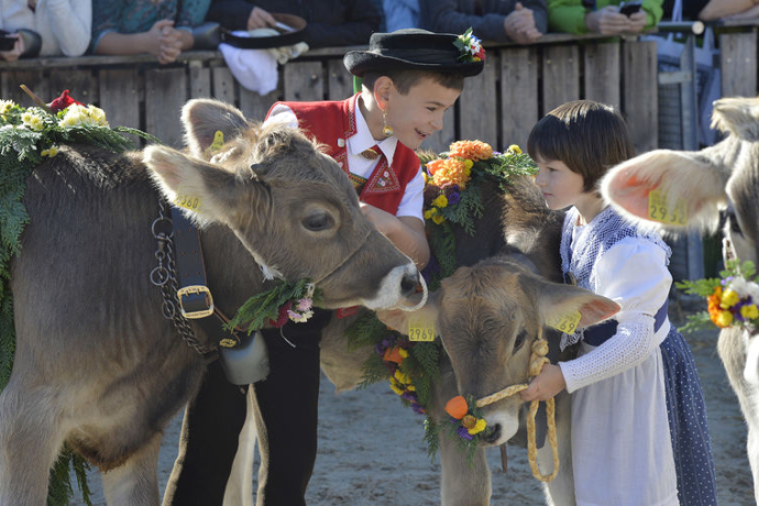 83. OLMA – Schweizer Messe für Landwirtschaft und Ernährung (gdl_404408838_image)