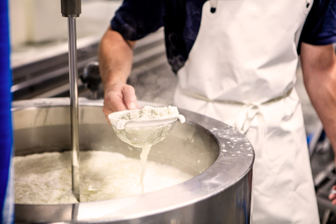 Selber einen Käse herstellen (gdl_881342172_image)