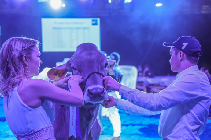 Alpin Festival (gdl_899953794_image)