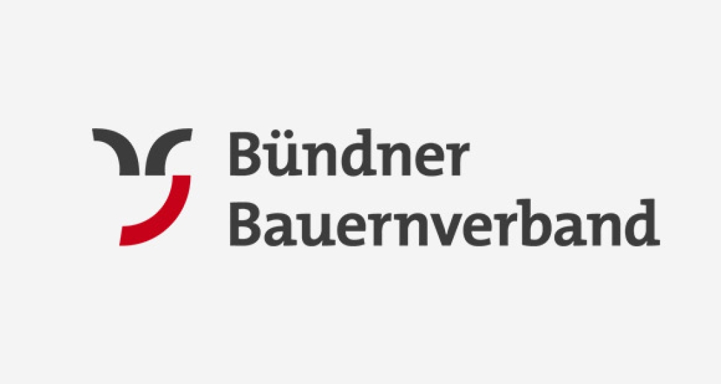 Logo BBV Logo BBV