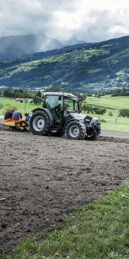 Handarbeit auf dem Feld 