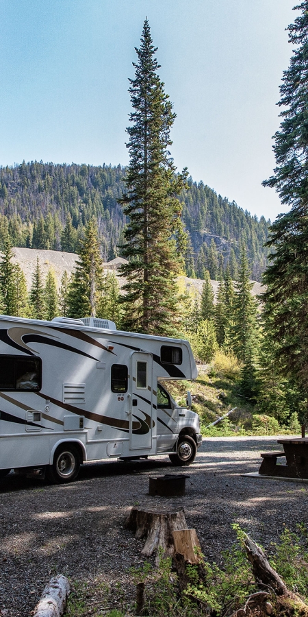 Camper auf einem Stellplatz nahe dem Wald