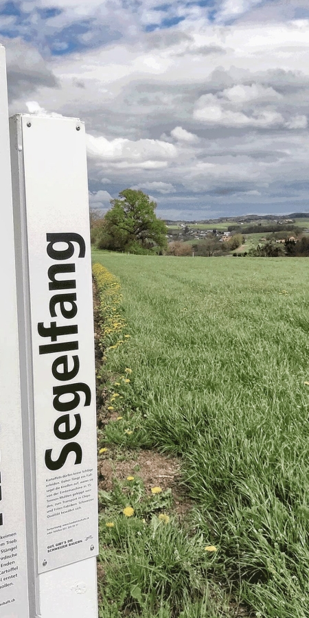 Lockpfosten bilden weiter (© Bauernportal) Lockpfosten bilden weiter