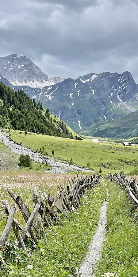 Schrägzaun im Safiental