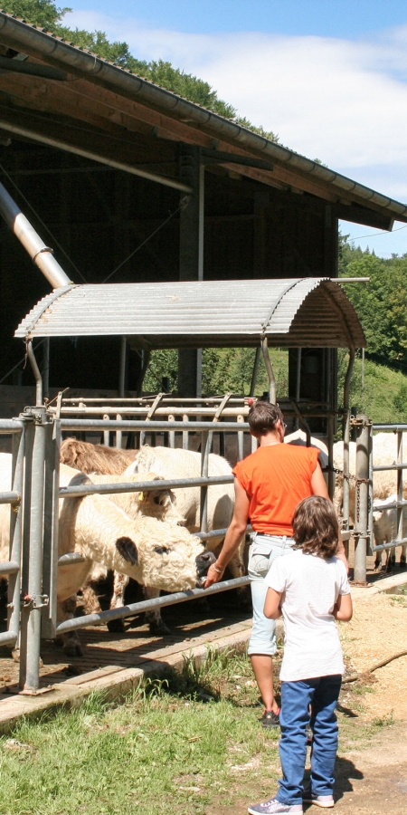 Stallvisite (© BBV) Stallvisite