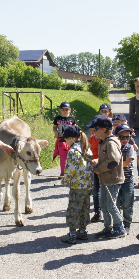 Schule auf dem Bauernhof