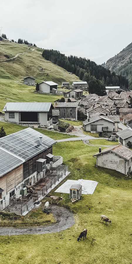Bachhuus Hinterrhein (Bild: Tina Gerber) Bachhuus Hinterrhein Agrotourismus Graubünden