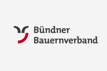 Logo BBV Logo BBV