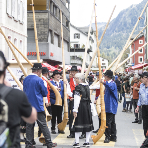 Agrischa Ilanz Alphorn
