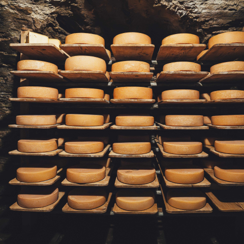 Bachhuus Hinterrhein Agrotourismus Graubünden (Bild: Tina Gerber) Käse Laib Käsekeller Bachhuus Hinterrhein