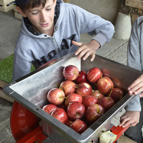 Kinder pressen Äpfel Schule auf dem Bauernhof
