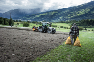 Handarbeit auf dem Feld 