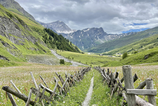 Schrägzaun im Safiental