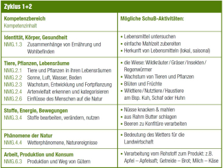 Zyklus 1 und 2 SchuB