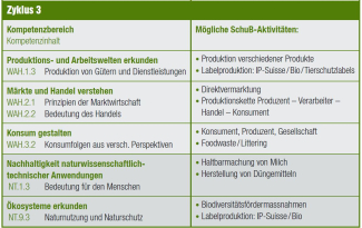 Zyklus 3 SchuB