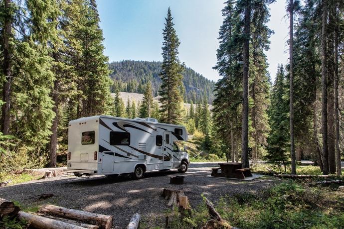 Camper auf einem Stellplatz nahe dem Wald (© Wirestock/freepik.com) Camper auf einem Stellplatz nahe dem Wald