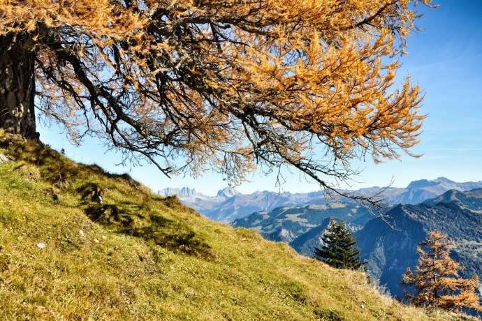 Blick von der Hinteren Alp Untervaz in den Rätikon