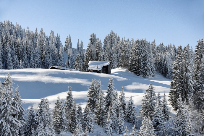 Maiensäss auf dem winterlichen Furnerberg 