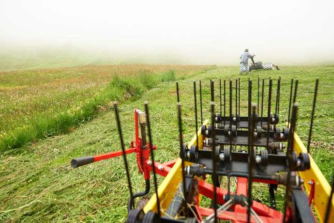 Mähen Bergwiese Schamserberg