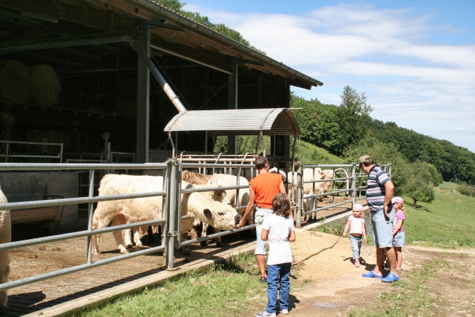 Stallvisite (© BBV) Stallvisite
