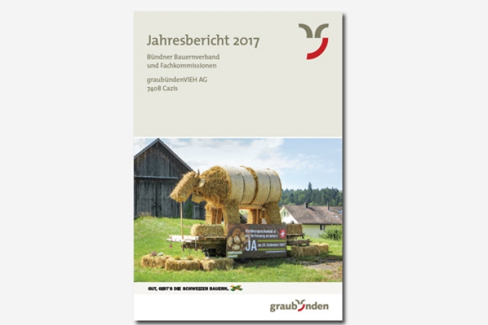 Teaser Jahresbericht 2017 Teaser Jahresbericht 2017