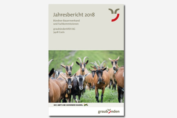 Teaser Jahresbericht 2018 Teaser Jahresbericht 2018