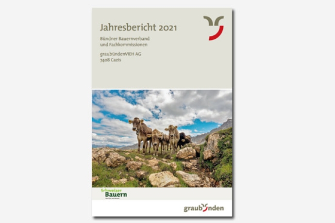 Teaser Jahresbericht 2021 Teaser Jahresbericht 2021