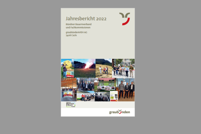 Jahresbericht 2022