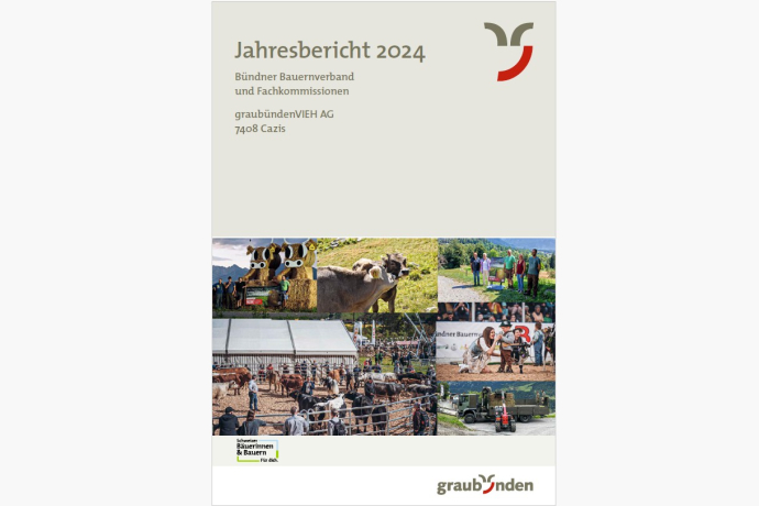 Jahresbericht BBV 2024