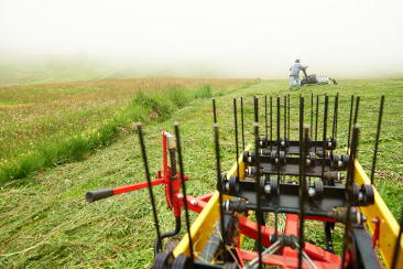 Mähen Bergwiese Schamserberg